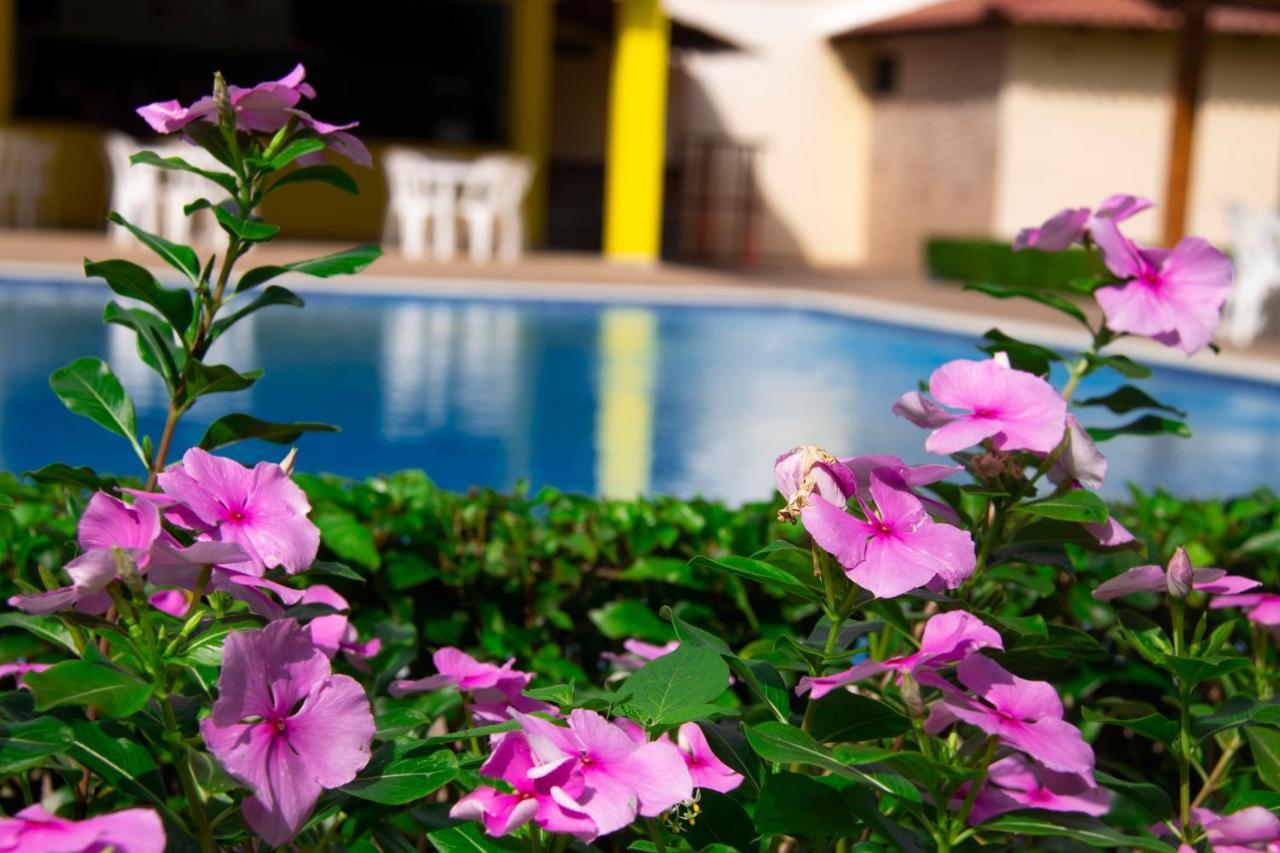 Deluxe Suites Guacamayos - Eco-Lodge & Swimming Pool Bonao 外观 照片