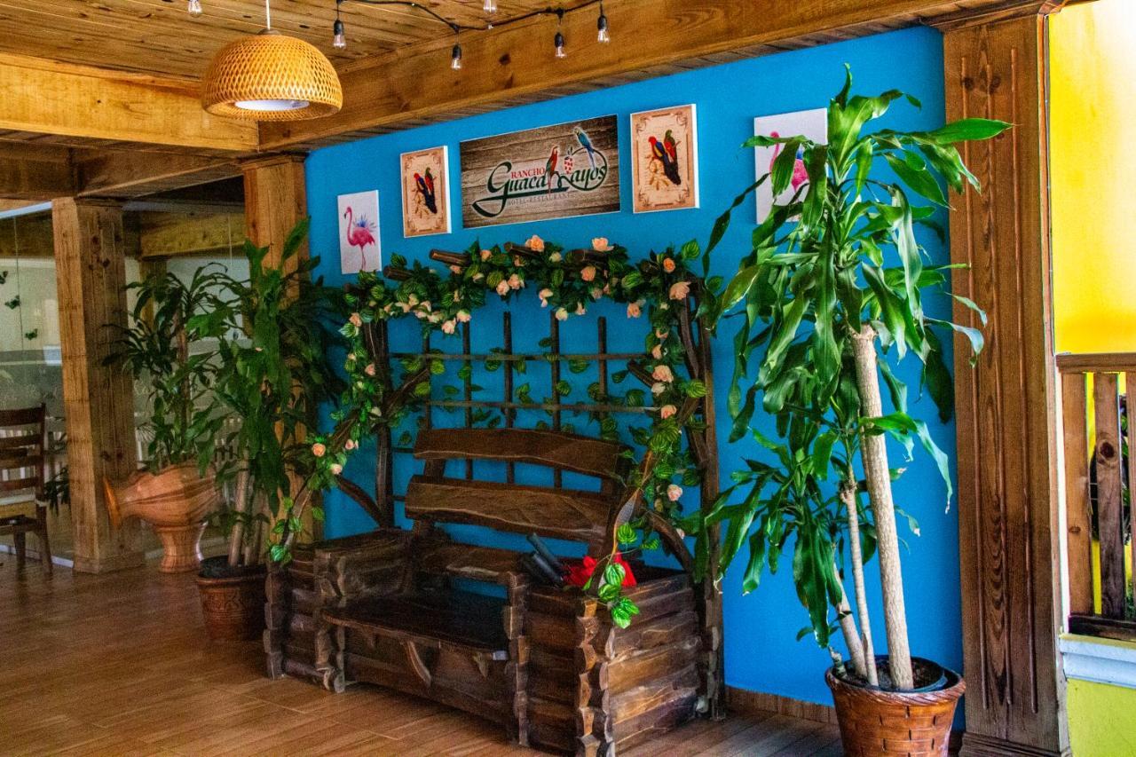 Deluxe Suites Guacamayos - Eco-Lodge & Swimming Pool Bonao 外观 照片