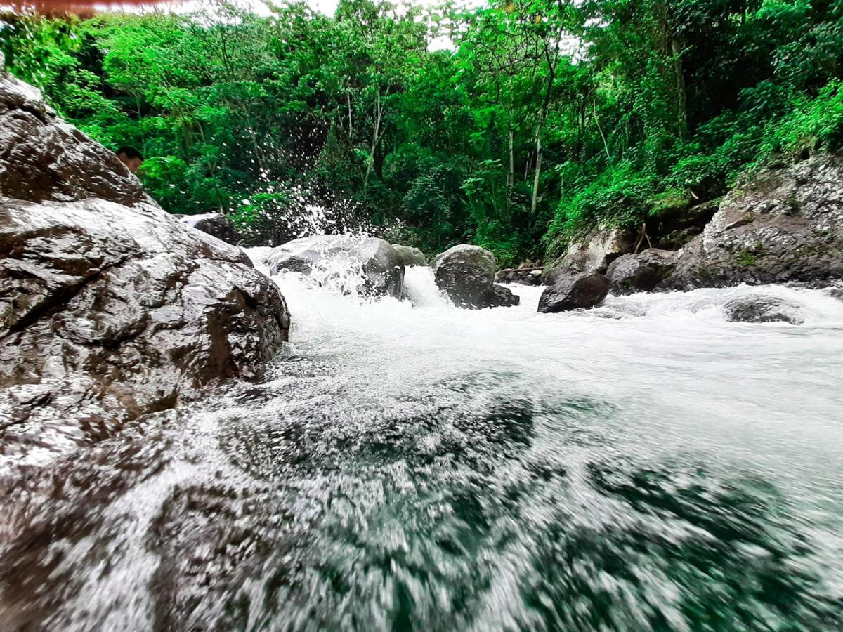 Deluxe Suites Guacamayos - Eco-Lodge & Swimming Pool Bonao 外观 照片